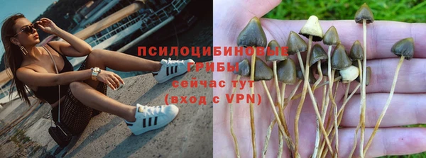 apvp Балахна