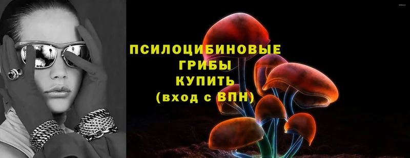 ссылка на мегу зеркало  Вятские Поляны  Псилоцибиновые грибы Magic Shrooms 