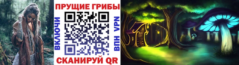 Псилоцибиновые грибы GOLDEN TEACHER  закладки  Вятские Поляны 