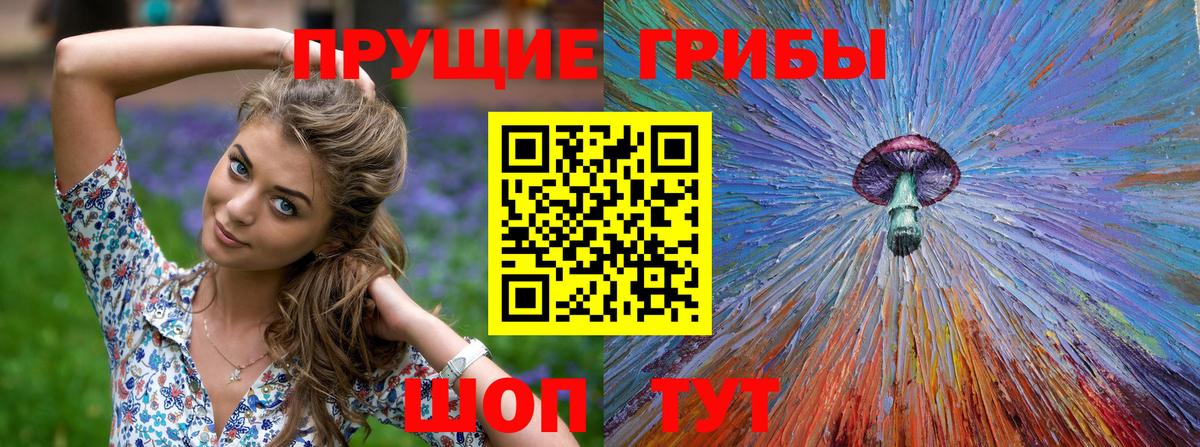 Вятские Поляны  Псилоцибиновые грибы мухоморы  Вход с VPN 
