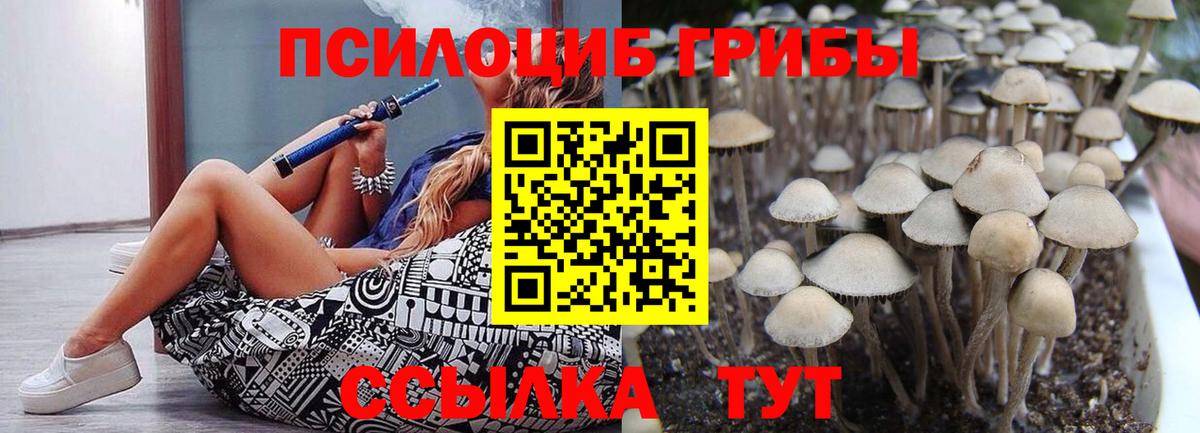 Галлюциногенные грибы Magic Shrooms Вятские Поляны